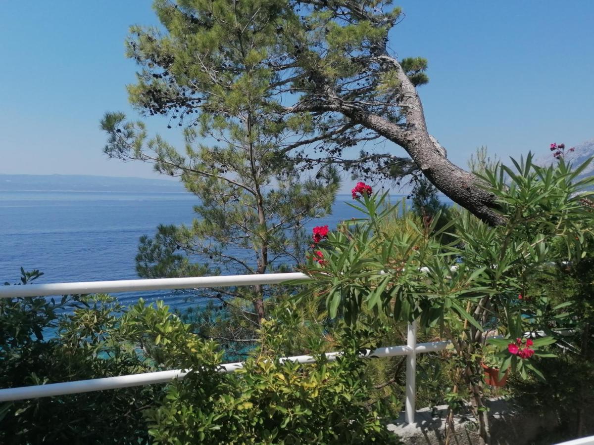 Apartmani Mares - 20 M From The Beach Brela Dış mekan fotoğraf