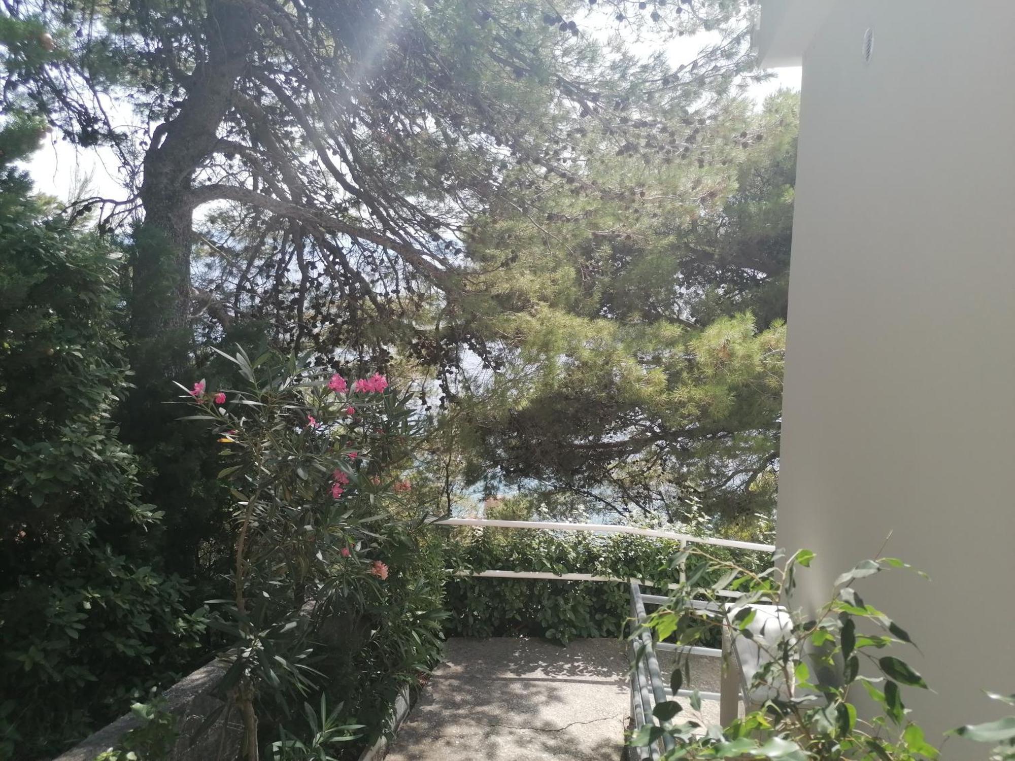 Apartmani Mares - 20 M From The Beach Brela Dış mekan fotoğraf
